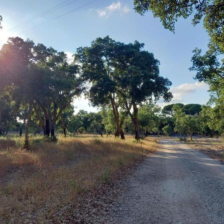 Alto Βίλα Alcácer do Sal Εξωτερικό φωτογραφία